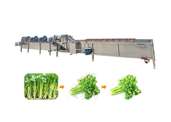 Μηχανή επεξεργασίας φρούτων και λαχανικών Ss304 1500kg/H