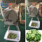 Κόπτης επιχειρηματικών πράσινων φυλλωδών λαχανικών τομέα εστιάσεως, τέμνουσα μηχανή πατατών
