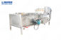 SUS304 λαχανικό πλυντηρίων φυσαλίδων και καθαρίζοντας μηχανή τροφίμων φρούτων 500kg/H
