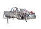 Πλυντήριο φυλλωδών λαχανικών δίνης SUS304 1000KG/H