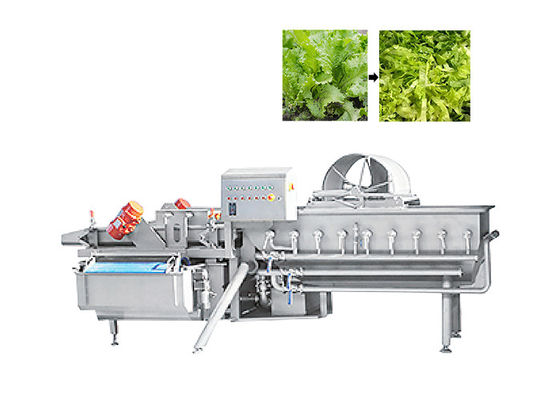 Βιομηχανικό αυτόματο πλυντήριο 1000KG/H λαχανικών φρούτων δίνης