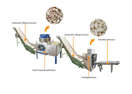 Βιομηχανική αυτόματη Peeler αποφλοίωσης σκόρδου σπάζοντας γραμμή παραγωγής μηχανών επεξεργασίας