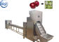 SUS304 υψηλή αποδοτικότητα μηχανών αποφλοίωσης δερμάτων κρεμμυδιών εξοπλισμού επεξεργασίας κρεμμυδιών