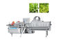 Βιομηχανικό αυτόματο πλυντήριο 1000KG/H λαχανικών φρούτων δίνης