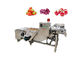 Φυτικό πλυντήριο αεροφυσαλίδων φρούτων SUS304 500kg/h