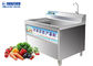 Φυλλώδες 150KG πλυντήριο φρούτων και λαχανικών όζοντος αεροφυσαλίδων
