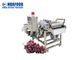 SUS304 καθαρότερη μηχανή σταφυλιών πλυντηρίων φρούτων και λαχανικών