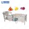 Αυτόματες υπερηχητικές πλυντήριο λαχανικών φρούτων και μηχανή ζεματίσματος